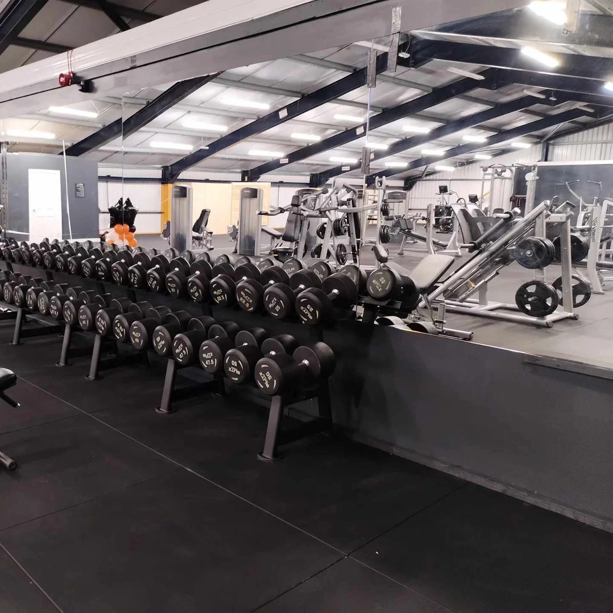 Free-weight area at LD24, with dumbbell racks and gym equipment